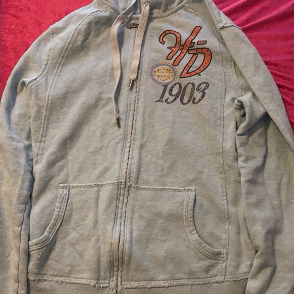 Y2K Harley Davidson Hoodie
